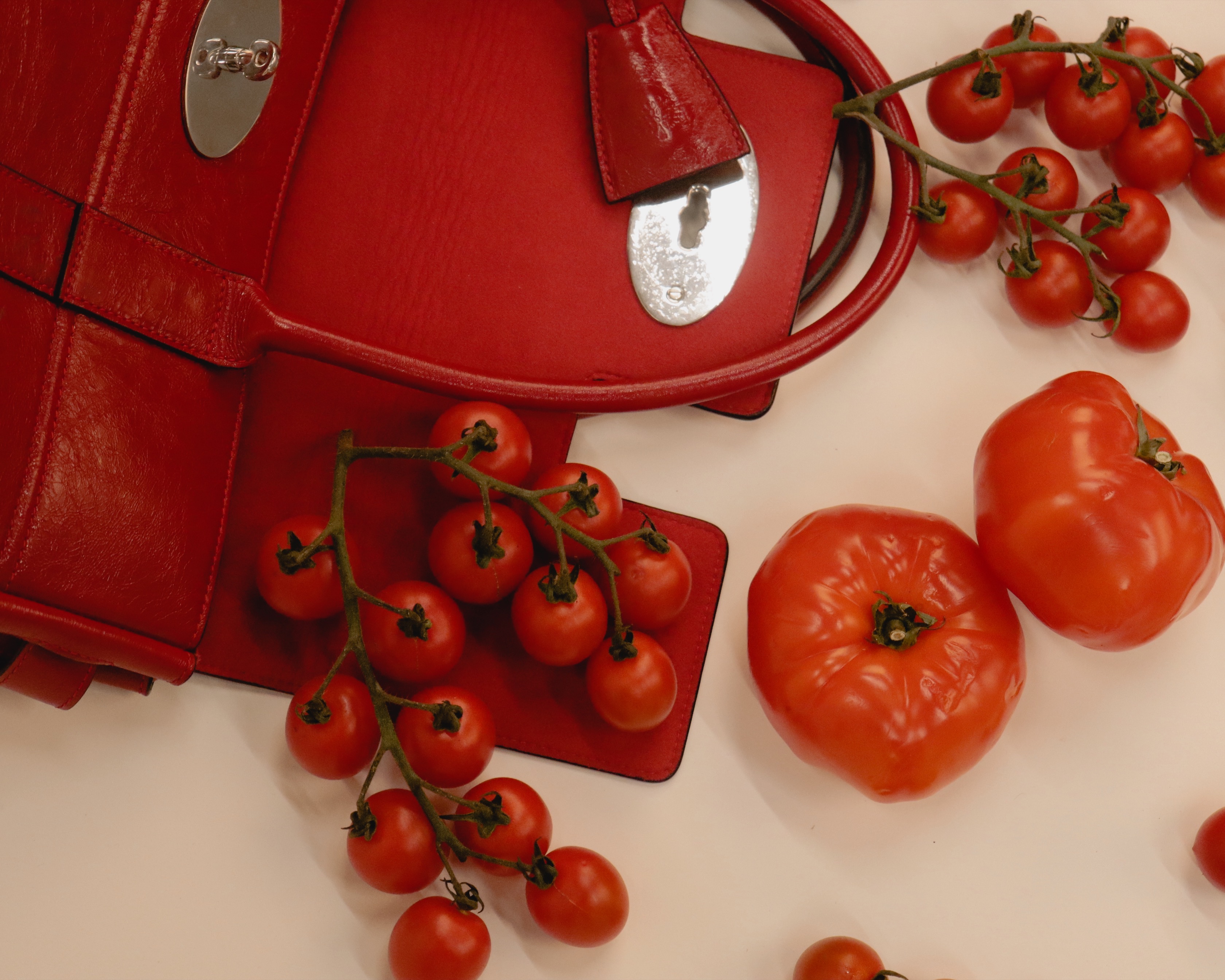 Mulberry bag detail — lock and tomatoes