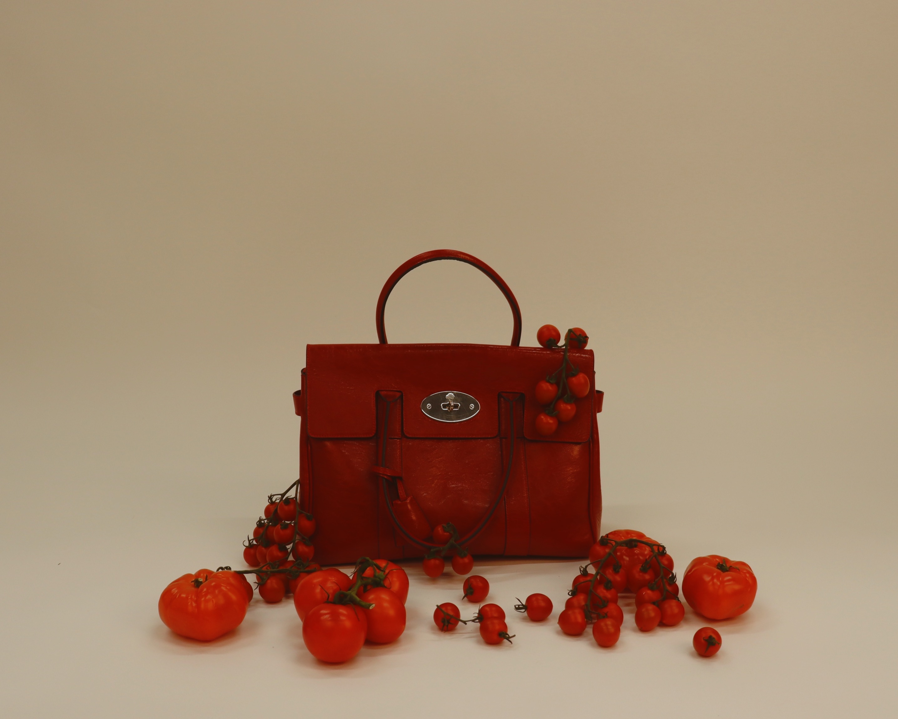 Mulberry bag portrait with tomatoes