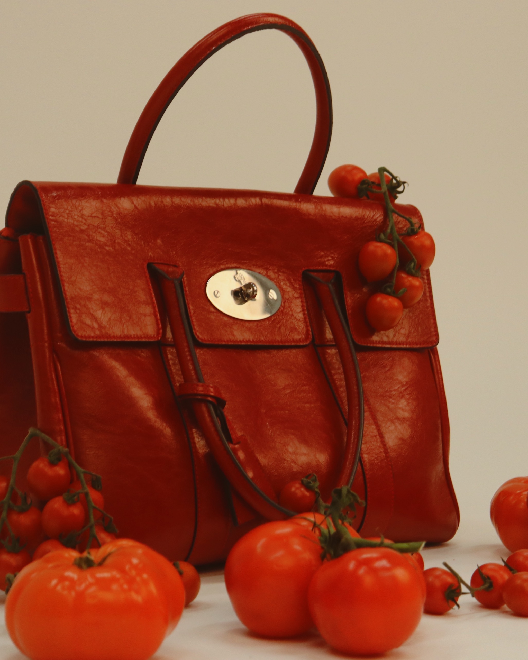 Mulberry bag close-up with tomatoes